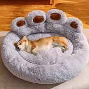 Canapé Moelleux – Un cocon de douceur et de confort Chien